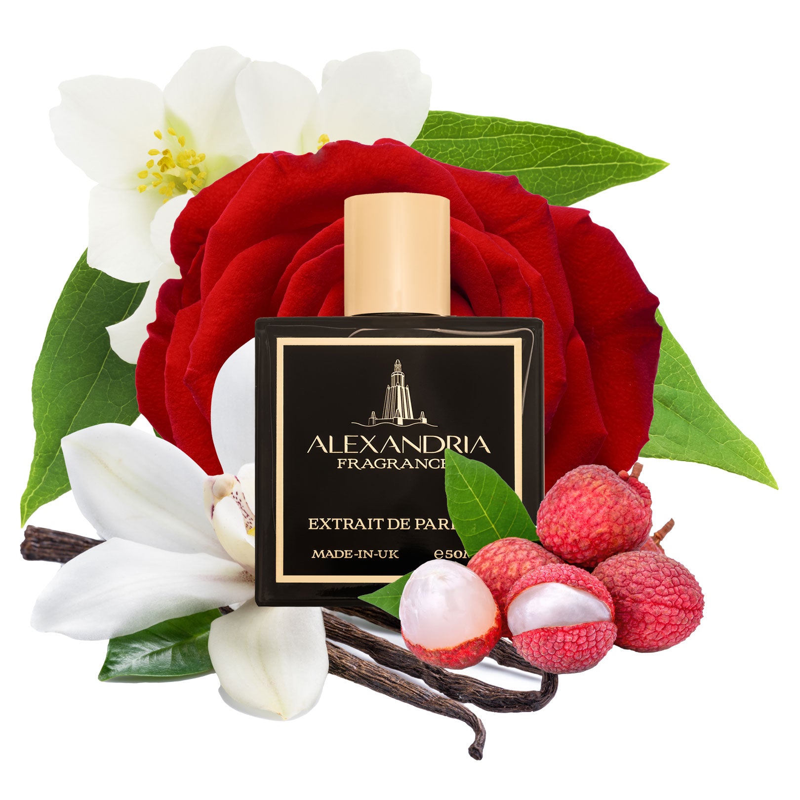 Lady diana alexandria discount fragrances