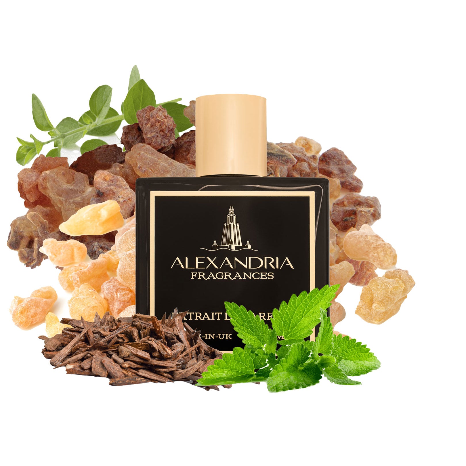 Aromatic Conflict Inspired By Amouage buy Interlude Man