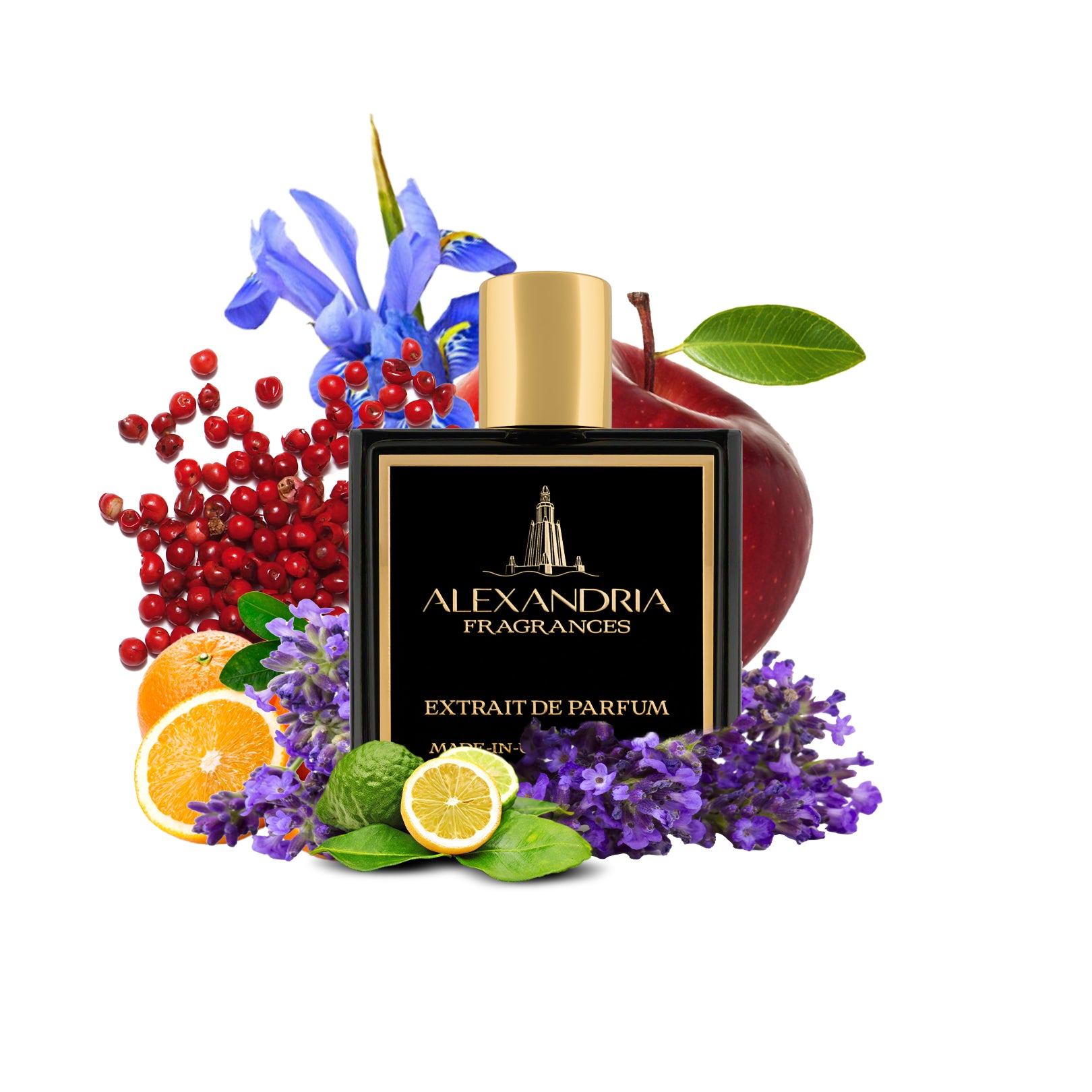 Royal Equestrian Inspiré Par Layton Par Parfums De Marly 